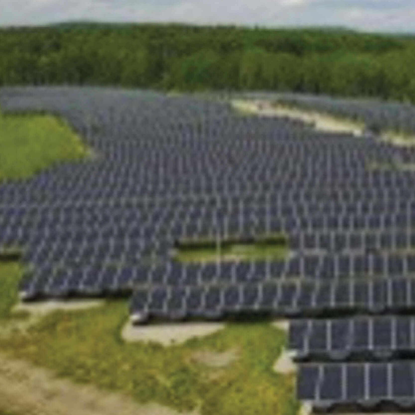 50MW Ground Mounted Project (Pokaran)